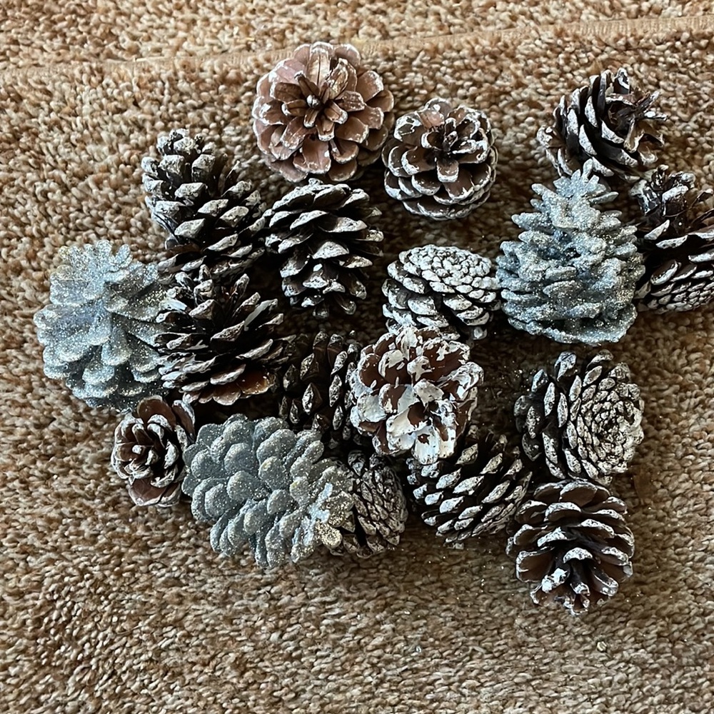 18 small white and silver pinecones